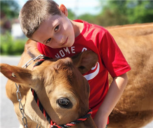 Boy with Cow